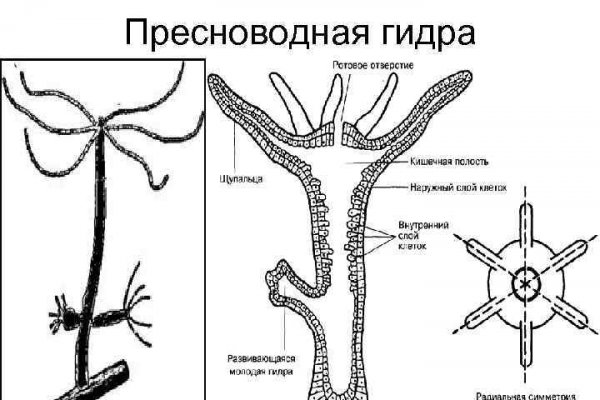 Как вывести с кракена