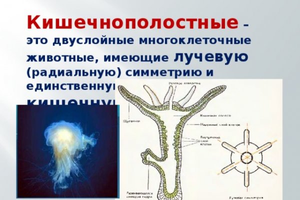 Кракен тор ссылка магазин